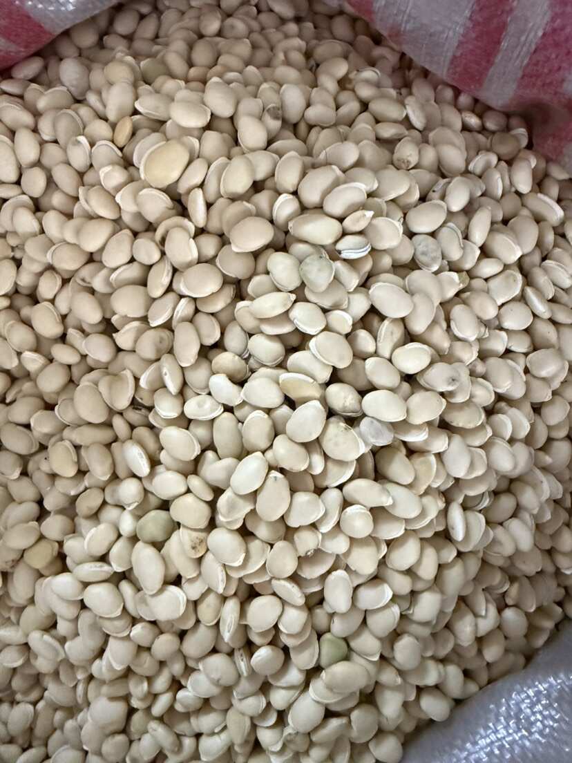 白扁豆 大白扁豆