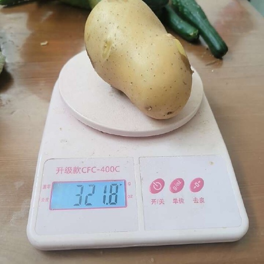 长葛市现挖 黄心土豆