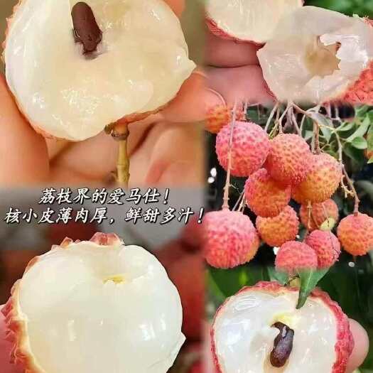 高州市根子镇正宗茂名桂味荔枝新鲜水果冷链空运直发