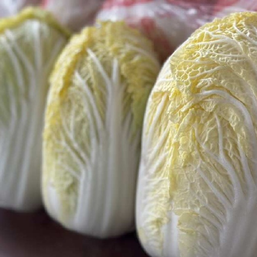 南宁娃娃菜 兰州