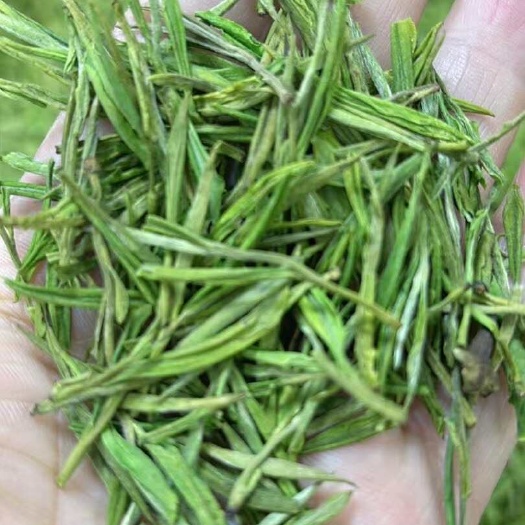 宣城安吉白茶，2025春茶，新茶，口粮茶