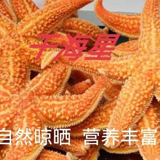 深海新货干海星海五星海盘车海星干货正品煲汤泡酒