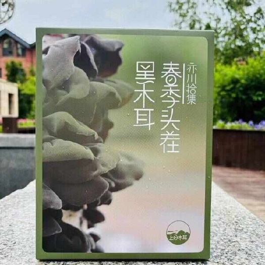 温岭市亦川拾集春季头茬黑木耳