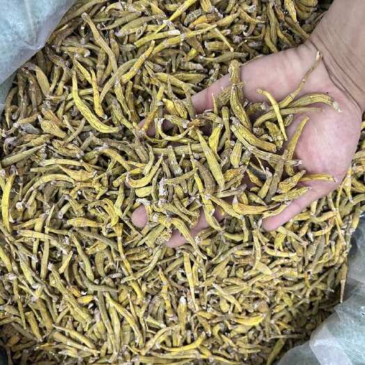 昆明虎牙石斛产地货源各种石斛规格齐全量大价优