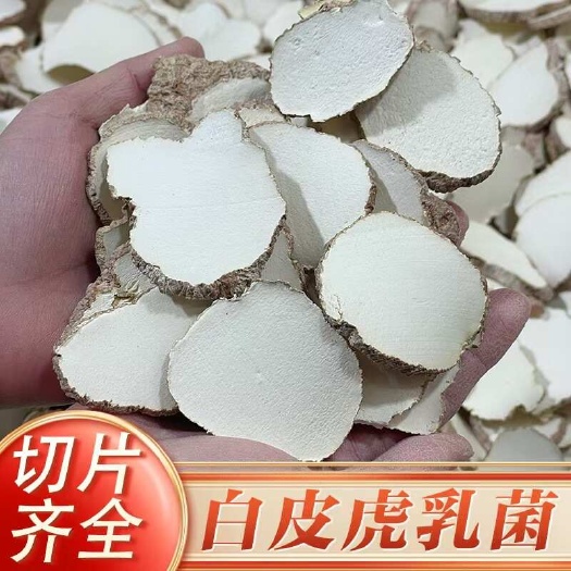 佛山【虎乳菌】虎奶菌灵芝虎乳菌切片手选虎乳菌大片包邮