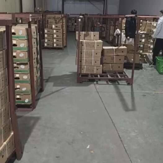 常州吊龙，肥吊龙 精吊龙 公吊龙 母吊龙 各种吊龙，专注各种吊龙