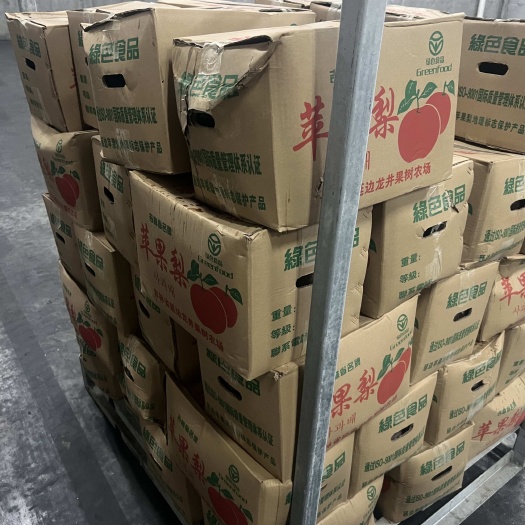 东港市东北冻梨 延边苹果梨