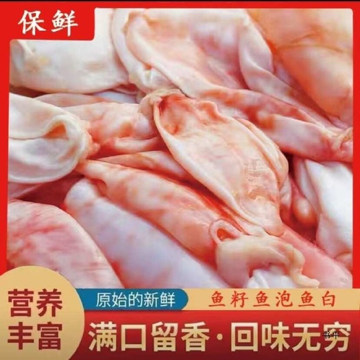 佛山广东佛山水库鱼新鲜鱼鳔，免费拿样支持快递发货，也可一件代发