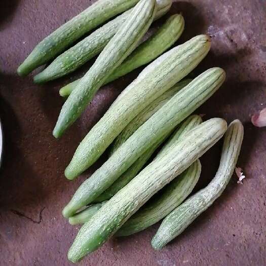 菜瓜