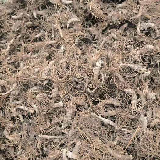 地胆头，中药材，水洗地胆头