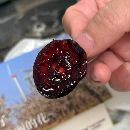 顺丰空运 甘肃夏树国产车厘子夏树一号