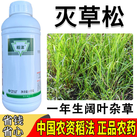 广州移栽水稻田阔叶草专用480克/升 灭草松 触杀内吸传导茎叶除