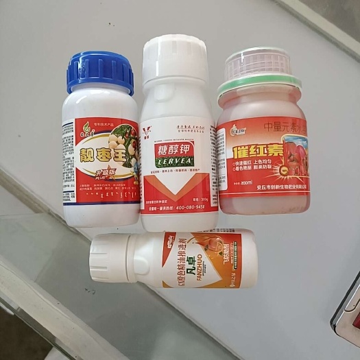 大荔县大荔冬枣褪青套餐，增糖转色，靓果不软果，发白增白上色上糖