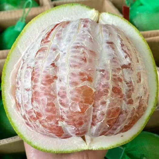 老挝青柚