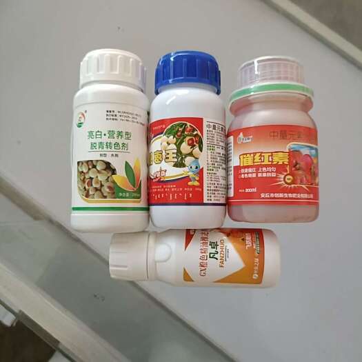 大荔县冬枣脱青发白靓果转色增糖不软果褪青技术增白上糖亮果
