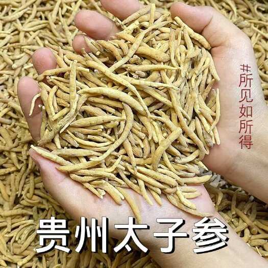 佛山【太子参】无硫太子参中药材太子参孩儿参手选货原色原味包邮