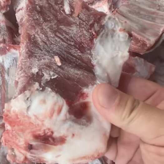 河间市羔羊羊排块 羊排锅食材欢迎老板进店咨询