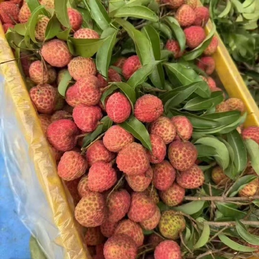 广州荔枝檽米糍