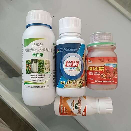 大荔县冬枣脱青增糖着色发白，亮果上色不软果，1组兑水500斤