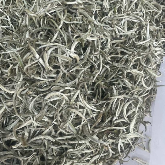 白毫银针，云南景谷大白毫，茶农一首货源 量大现货批发价格实惠