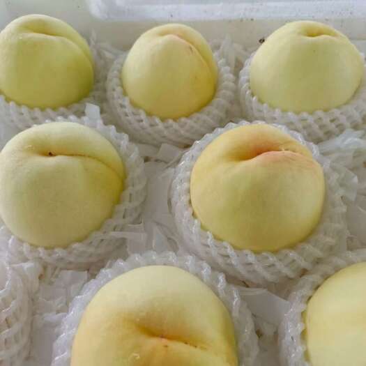 蜜桃