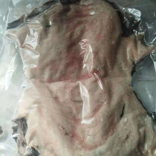 邯郸纯干牛百叶