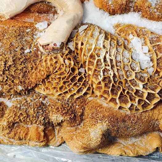 邯郸牛肚