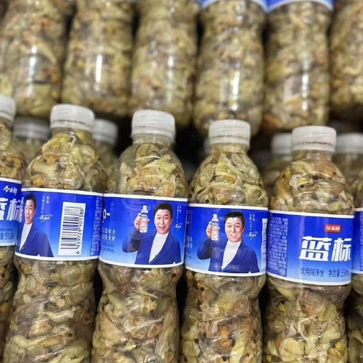 金乡县2025新出土小白蝉