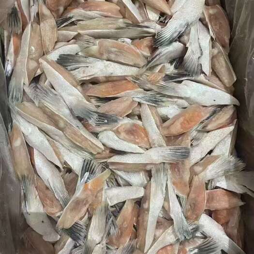 青岛三文鱼鳍