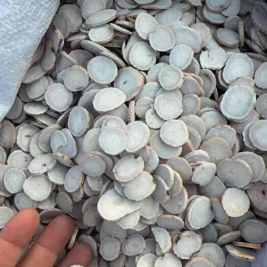 亳州出售各种规格饮片药厂投料，