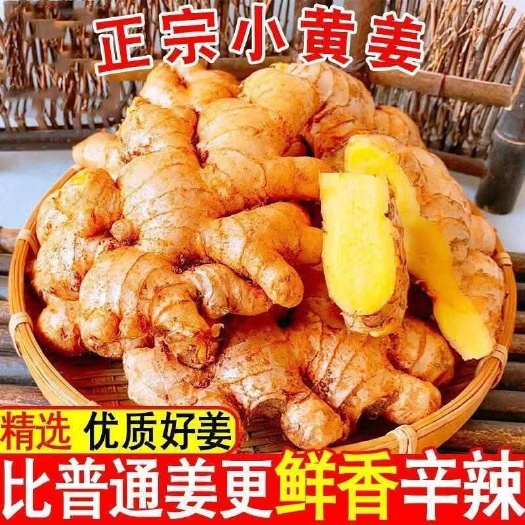 马关县云南老姜小黄姜生姜新鲜现挖优惠老姜组月子整箱批发饭店火锅