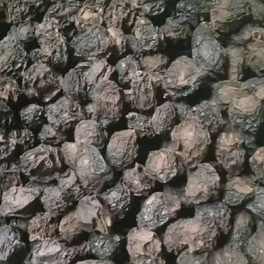 大邑县我们是四川青梅种植基地出售乌梅(中药材)自产自销
