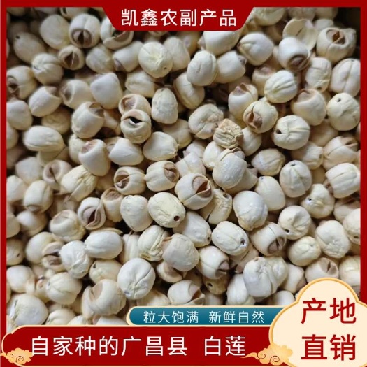 广昌县莲子自家种的广昌县白莲，粒大饱满
