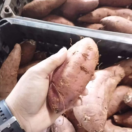 昆明丝滑大量到库