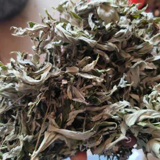 铜仁艾叶中药材 碧江产地直供 干燥纯净 草本植物 批发零售