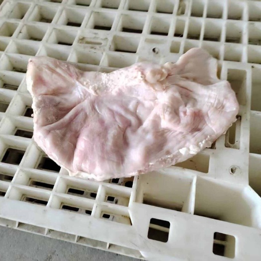 石家庄一级猪肚