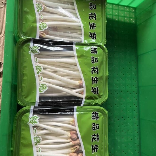 新鲜花生芽供应支持代发临海直发快递发货蔬菜芽苗类批发零售