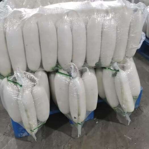 定边县陕西榆林定边精品白萝卜大量供应，好货天天发，售后无忧