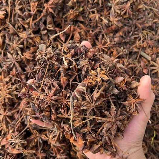 南宁足干无硫百家春花