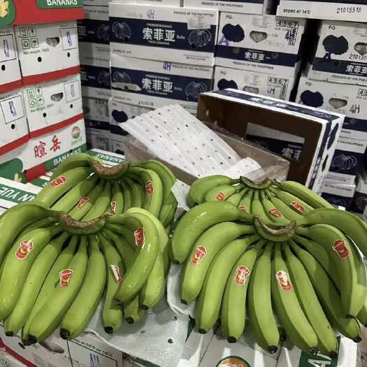 太仓市菲律宾  香蕉  青蕉大量现货一级蕉  二级蕉  ​
