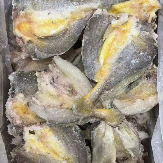青岛开背去头去脏大黄鱼