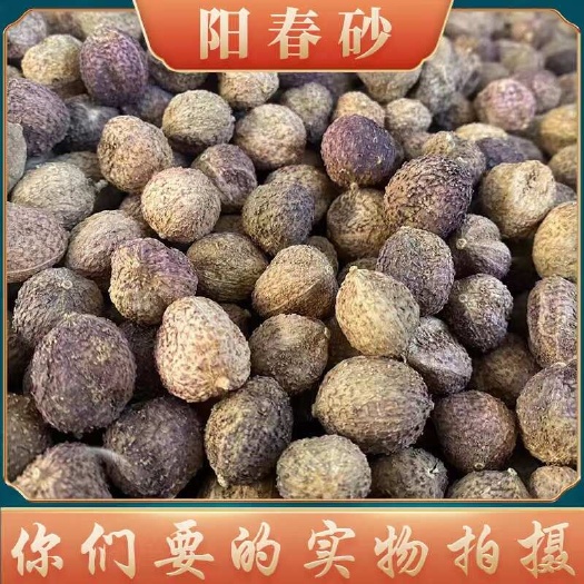 成都【四川发货】云南春砂仁砂仁春砂仁500克袋装颗粒均匀无硫包邮