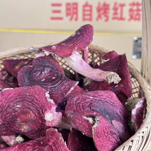 永安市三明自烤红菇