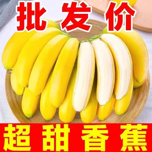 五柯农业云南高山香蕉新鲜现摘批发自然应季水果青皮整箱绿皮发货