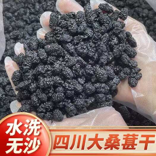 佛山【四川桑葚干】无硫黑桑葚干水洗无沙桑葚干500克袋装包邮