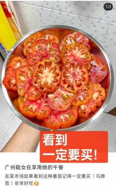 【爆品回归】1980浓汤番茄 | 老品种蕃茄，炒菜超绝，顺丰