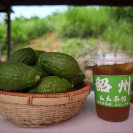 韶关香水柠檬批发零售