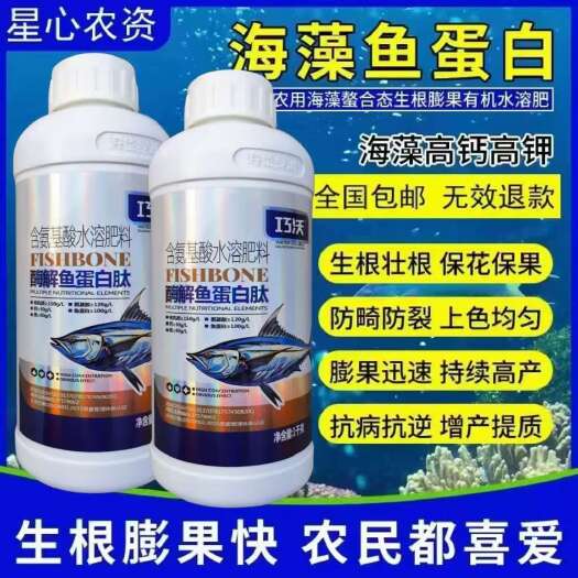 陆丰市海藻鱼蛋白，膨大果实，保花保果，防裂果防畸形，膨果快，增产