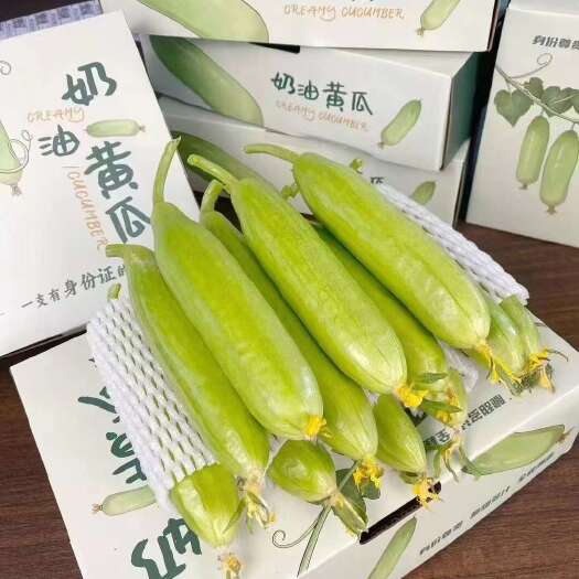 寿光市奶油小黄瓜，精品礼盒，产地直采直发，对接全国商超档口，水果店