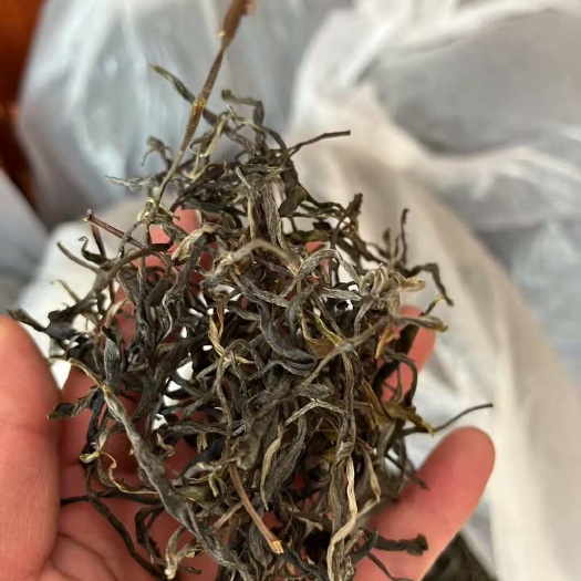 江城县普洱绿茶，生茶，大叶种